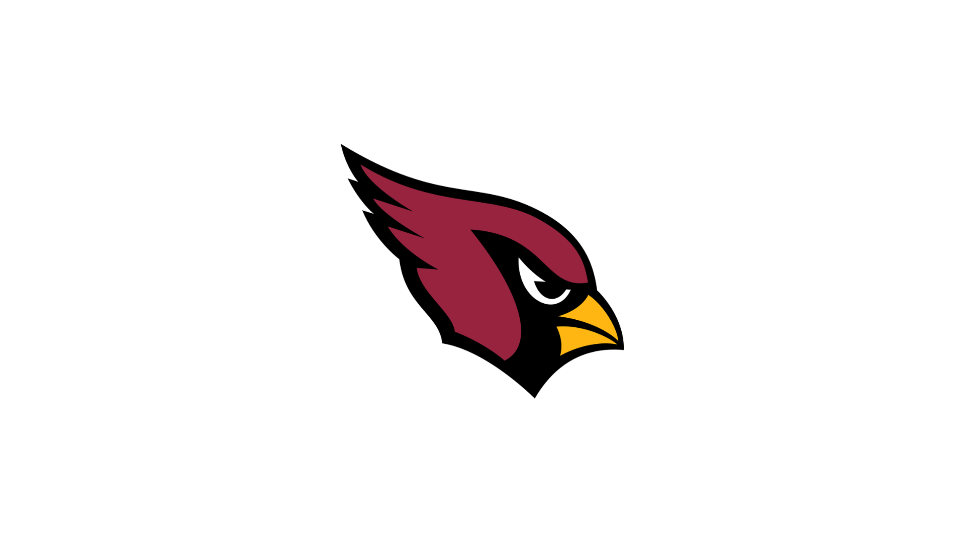 Arizona Cardinals - Gamedays Gear