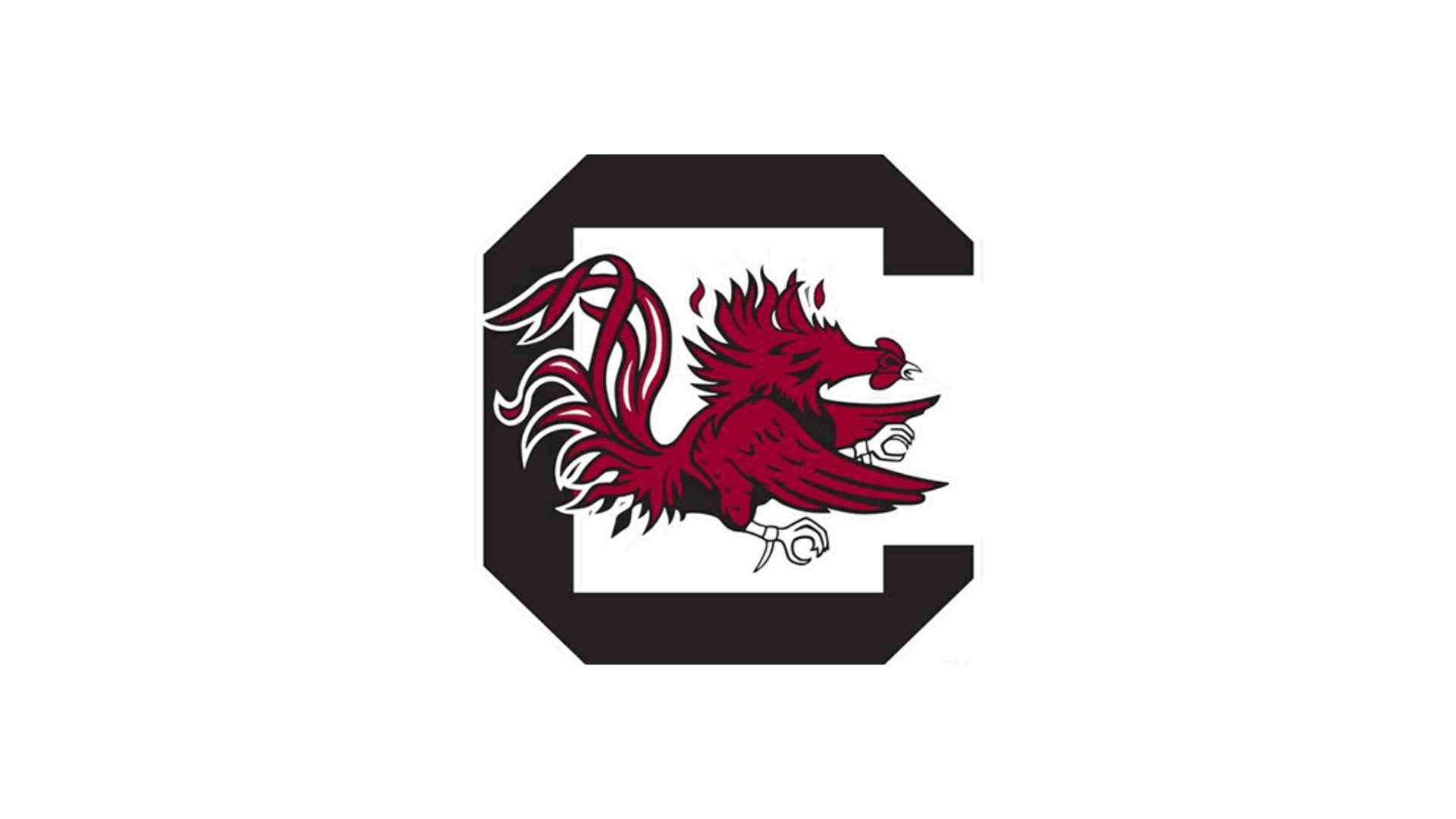 South Carolina Gamecocks - Gamedays Gear