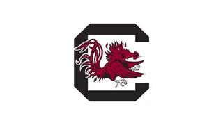 South Carolina Gamecocks